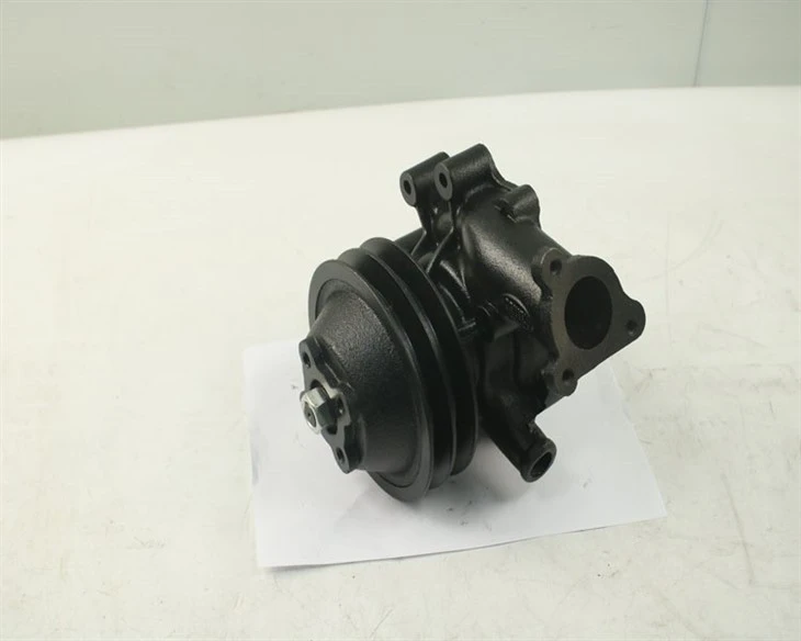 Engine Parts 21010-L9201 Water Pump For Nissan, F6DF05, Premium best