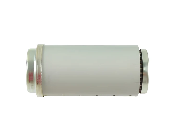 Forklift Parts 214A7-52171 Filter Element For TCMFRBH15-6, 100% Premium
