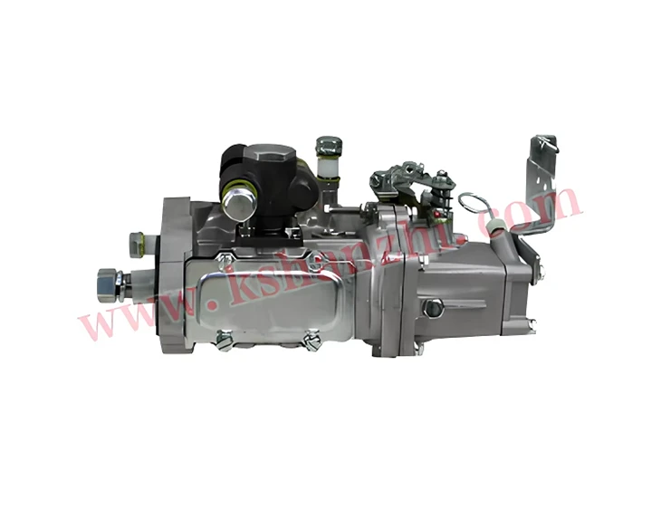 Forklift Parts X4BQA58Y014 Fuel Injection Pump For Xichai 495bpg With Oil Dipstick high quality