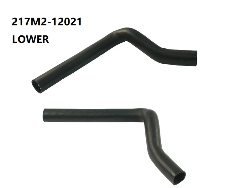 217M2-12021-D1 217M2-12021-D1