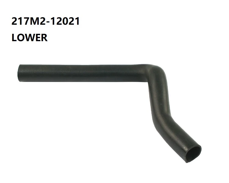 217M2-12021-D1(2)