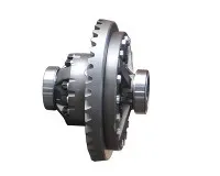 Forklift Parts YQX45-2000/0401 Differential Assembly For Hc Forklift (YDS45.908)