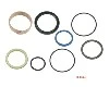 Seal Kits, Forklift Parts 12982719-00 Repair Kit, Lift Cylinder For Byd. CPD40, 100% Original